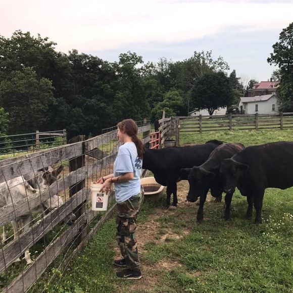 Meet your Posher, Bec - Picture 1 of 1